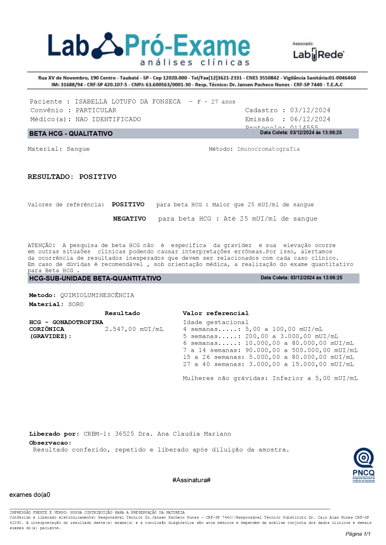 Teste de Gravidez Positivo Fake: como obter o seu